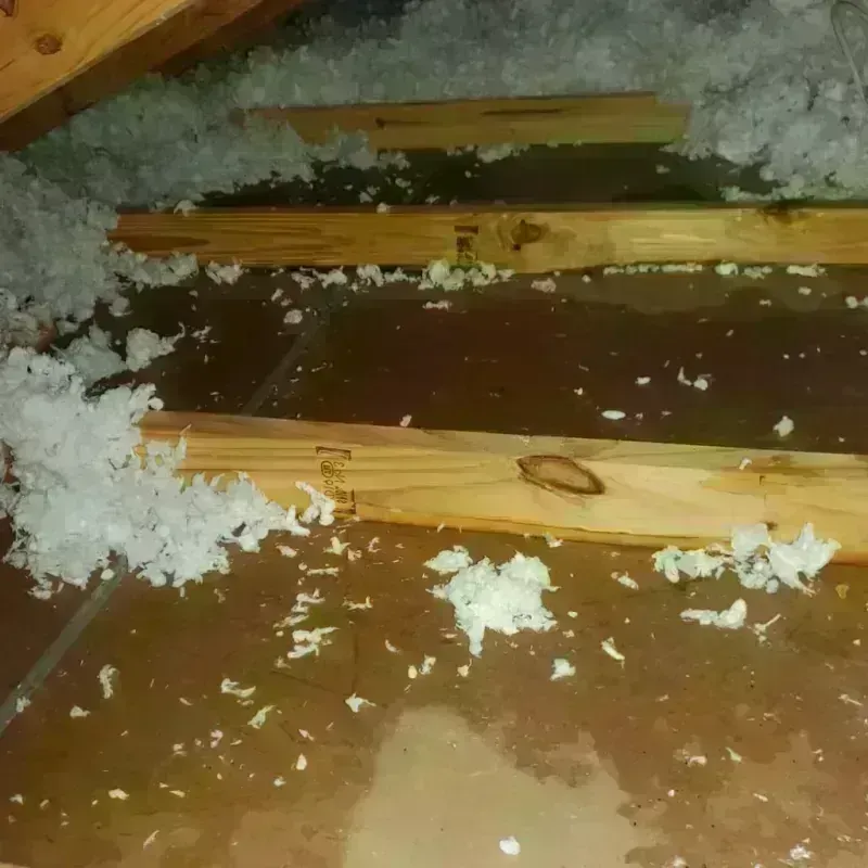 Attic Water Damage in Redwood County, MN