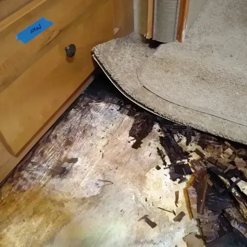 Wood Floor Water Damage in Redwood County, MN